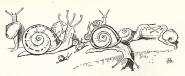 Apelles mestres: Dibuix caracterstic de lartista.