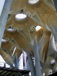 Gaud: Vista general de les voltes de la nau principal de la Sagrada Famlia a 45 metres