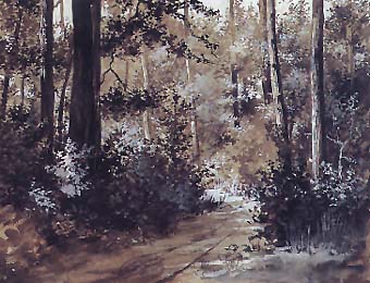 Riquer Pintura Interior de bosc aquarella rr des